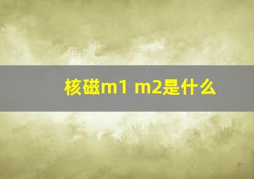 核磁m1 m2是什么